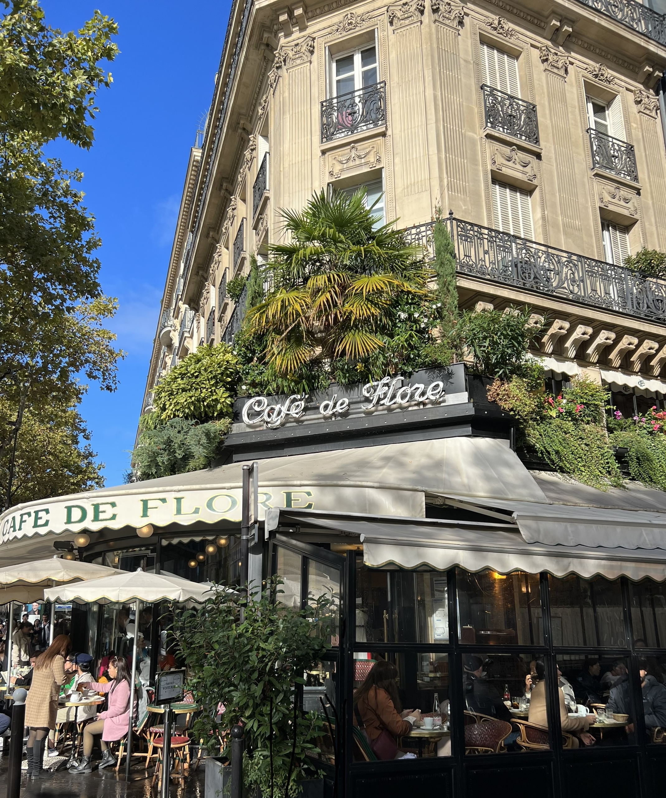 Café de Flore Saint-Germain-des-Prés Paris iconic French café terrace