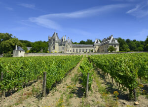 Luxury Château Tours France - Grand Renaissance château overlooking estate vineyards in the Loire Valley, France
