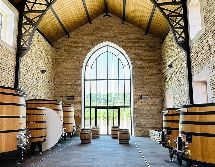 Côte de Beaune white wine tasting in Burgundy, France