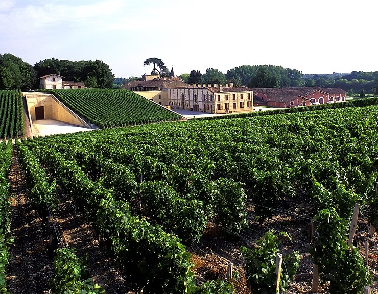 Château Lafite Rothschild in the Médoc, Bordeaux wine region