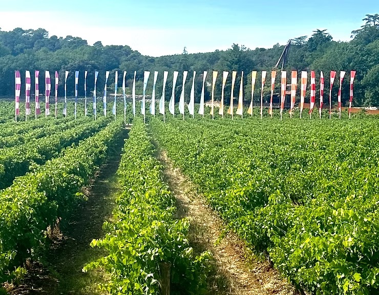 Provence wine tasting surrounded by terroir and local art