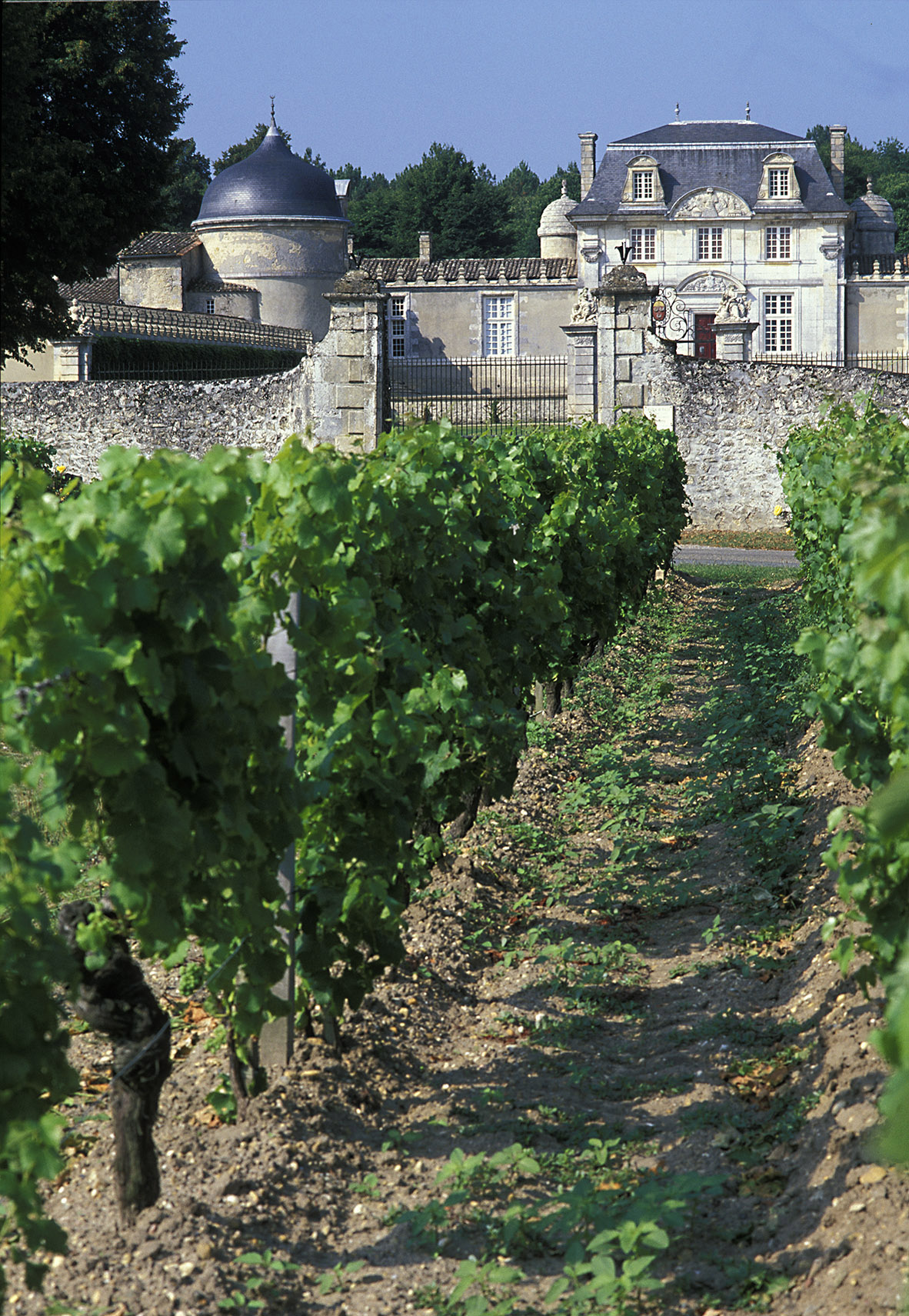 Château de Malle Sauternes vineyard and 17th-century estate on a luxury Bordeaux wine tour, France