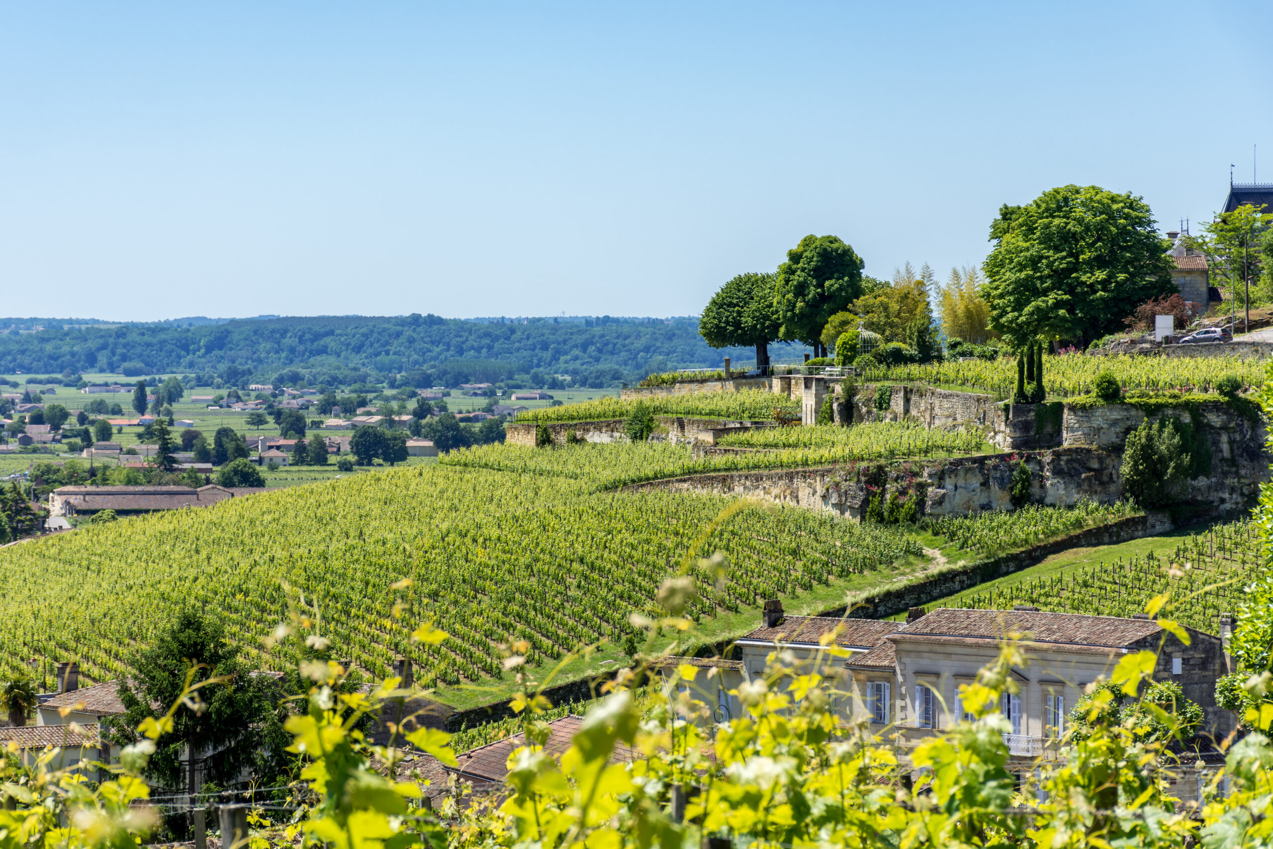Terraced Saint-Émilion vineyards and château on a luxury wine tour in Bordeaux, France