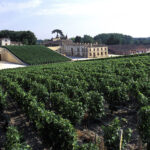 Château Lafite Rothschild vineyards and estate on a luxury wine tour in the Médoc, Bordeaux, France