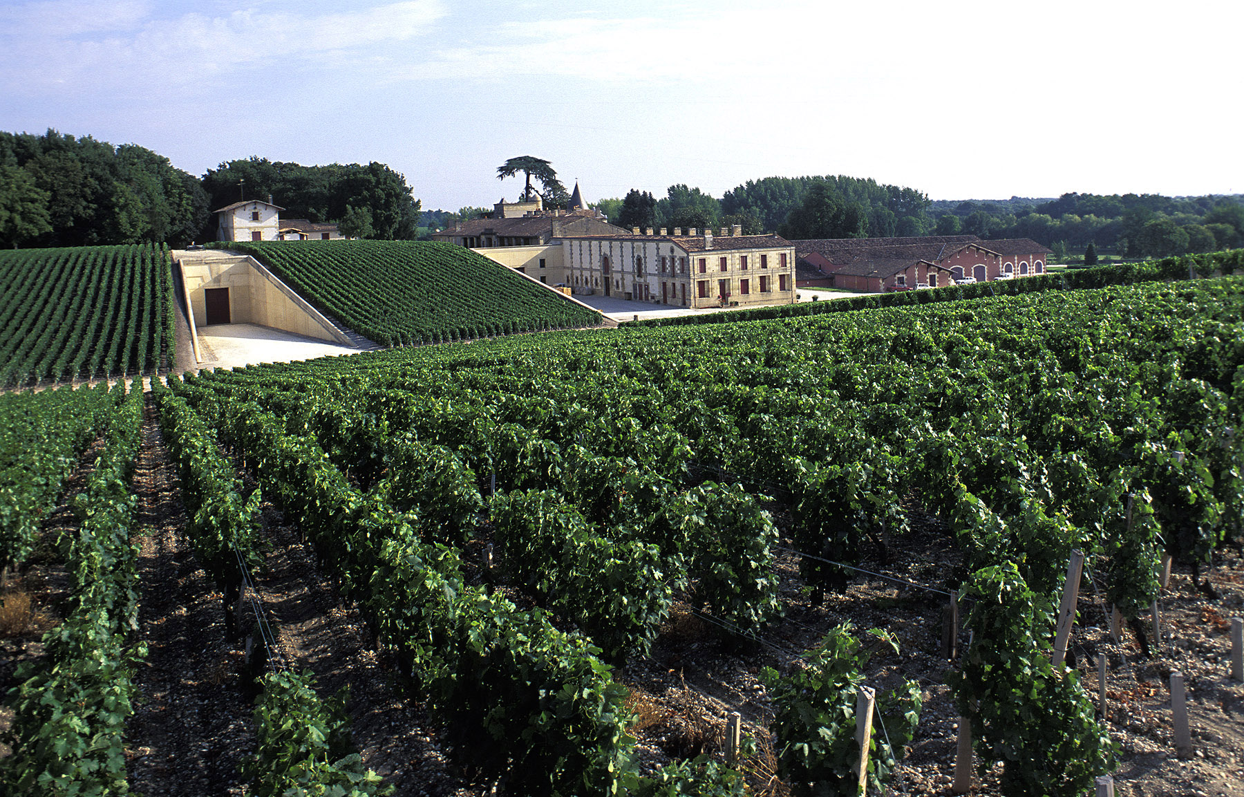 Château Lafite Rothschild vineyards and estate on a luxury wine tour in the Médoc, Bordeaux, France