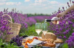 Rosé wine poured during a picnic in Provence lavender fields with cheese and croissants — luxury wellness retreat France
