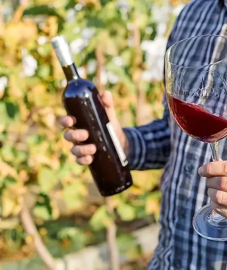 Winemaker holding a red wine bottle in a lush vineyard during harvest, Loire Valley France